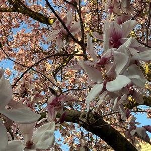 Meet your Posher, Mayra